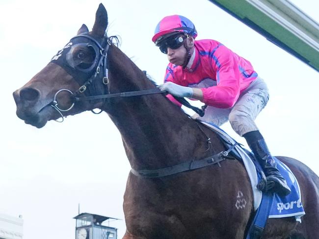 Recommendation ridden by Blake Shinn wins the Sportsbet Sir John Monash Stakes at Caulfield Racecourse on July 13, 2024 in Caulfield, Australia. (Photo by Scott Barbour/Racing Photos via Getty Images)