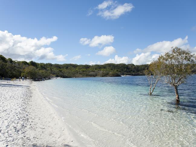 Lake McKenzie’s water is meant to keep you younger. Picture: Supplied