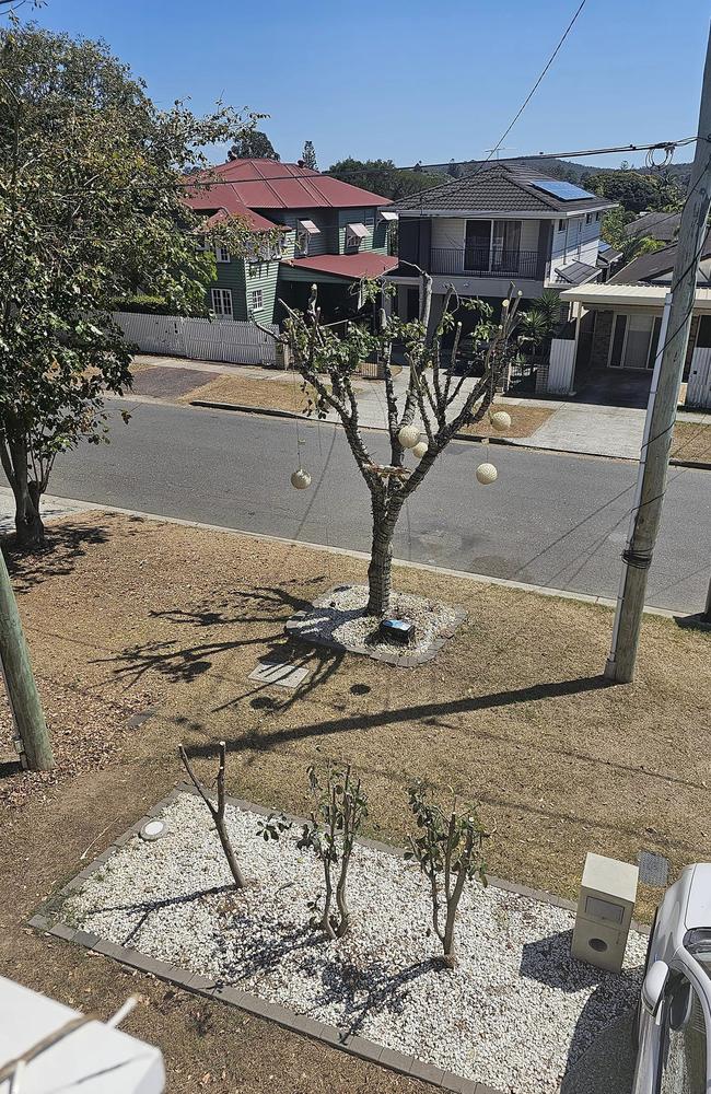 A photo posted to the Keeling St Coopers Plains – Christmas Lights Facebook group accompanied by the caption "trees trimmed for a better visual experience"