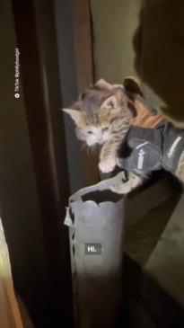 A kitten gets rescued from a house pipe