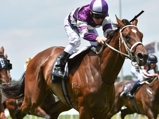 All Cerise salutes at Flemington on January 30 and looks well placed to repeat the result. Picture: Getty Images