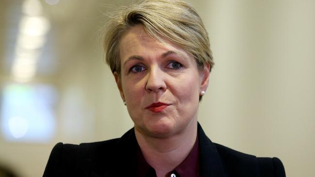 Deputy Opposition Leader Tanya Plibersek has criticised the NEG’s emissions target. Picture: Kym Smith