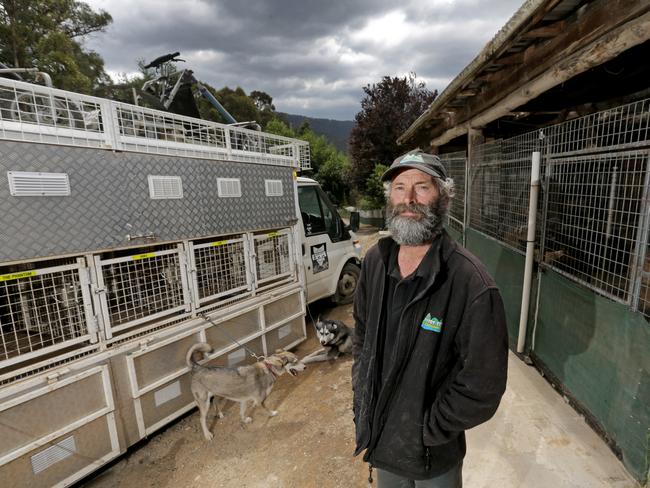 Sled Dog Adventures Tasmania co-owner Peter Devries is prepared to evacuate with his 27 rescued Siberian Husky sled dogs from their property at Lonnavale. Picture: PATRICK GEE