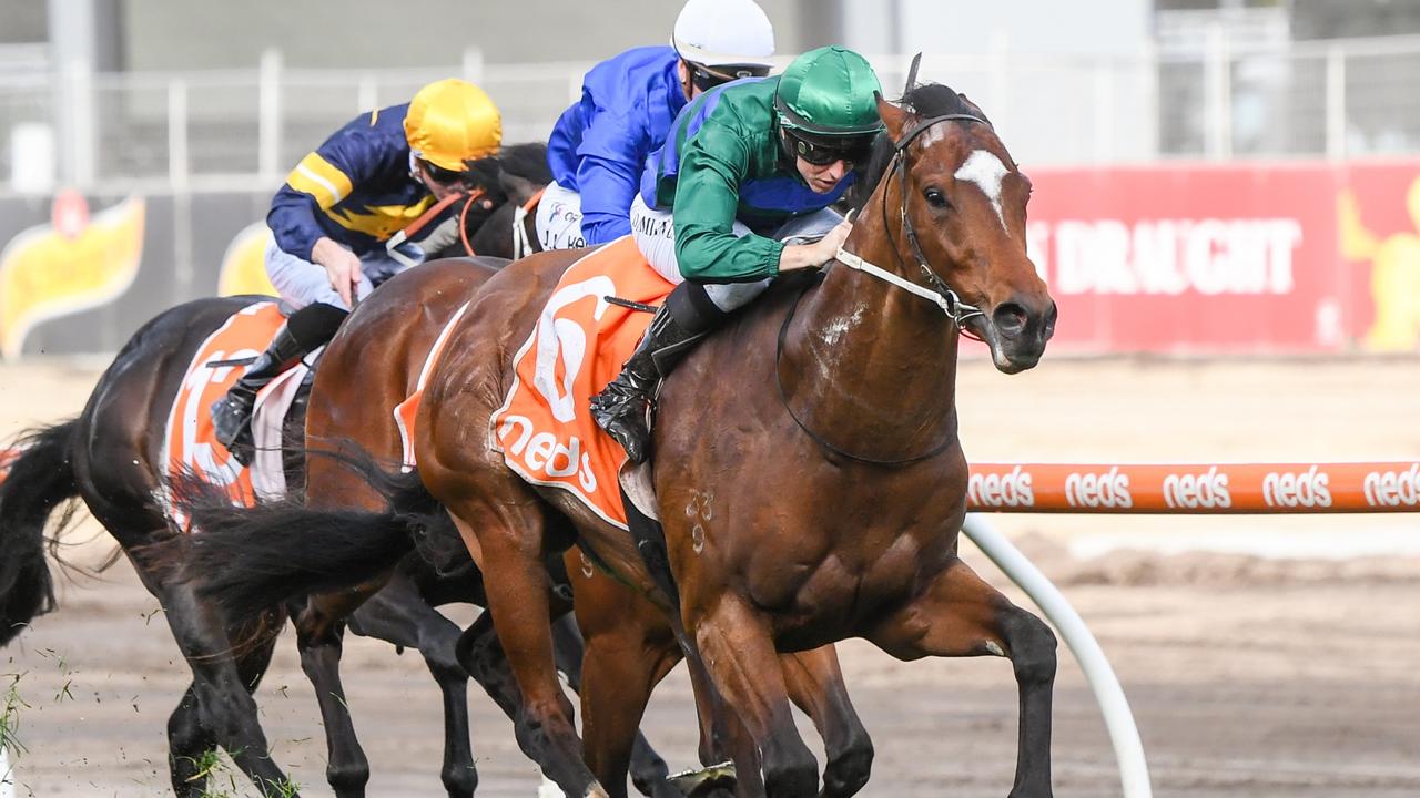 Star three-year-old Jacquinot will chase his second Group 1 win in the Coolmore Stud Stakes at Flemington. Picture: Racing Photos via Getty Images