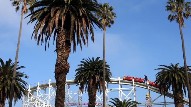 Trees in Port Phillip have been given a given a clean bill of health after an annual inspection.