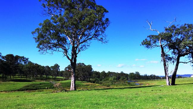 Mount Gilead Estate looking towards the dam.