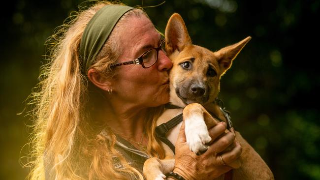 Baby Dingo Leia and Trerritory Wildlife Park keeper Donna Jensen ... the park will receive a one-off $900,000 payment to keep exhibits open. Picture: Che Chorley