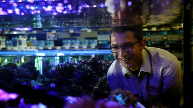 Kellyville Pets manager John Schembri checks out the blue tang fish at the aquarium.