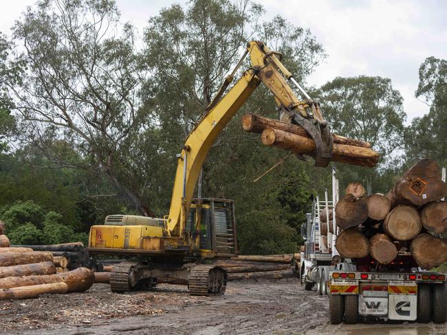 Logs are unloaded at the Warburton Timber Co. Photo: Simon Baker