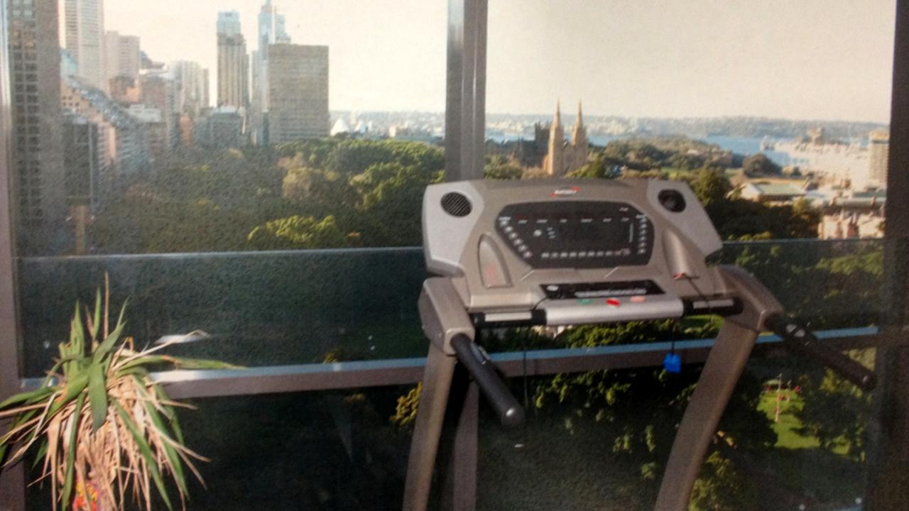 As he closed in on her, Gittany forbade Harnum from exercising at a public gym and hired a female personal trainer to train her in the flat (above, the treadmill on the balcony).