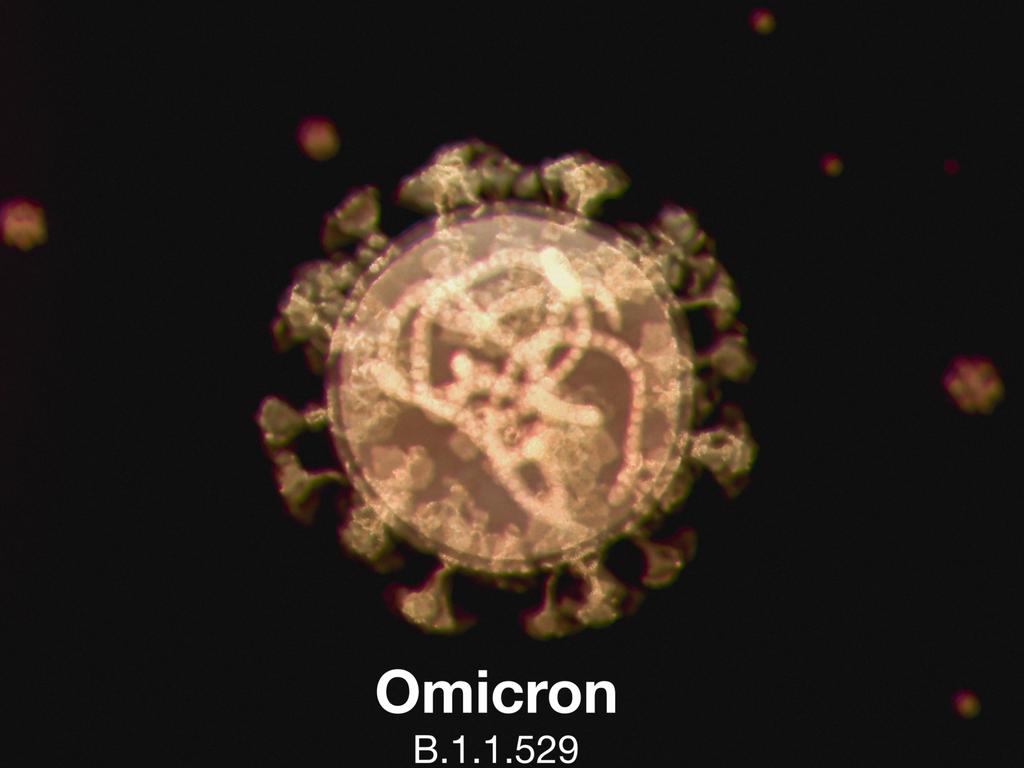 Omicron or B.1.1.529 is one of five if the new variant of concern by WHO.