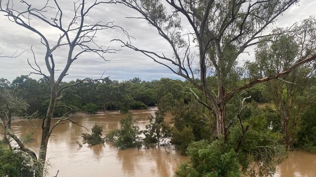 Water levels in the Nepean River had drastically risen overnight. Picture: Facebook/Marissa Jane