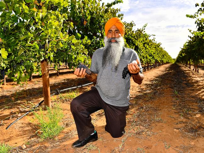 Jaswinder Singh in Barmera. Picture: Grant Schwartzkopff