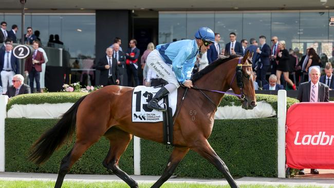 Basilinna heads to the barriers prior to the running of Alister Clark Stakes at Moonee Valley on March 23. Picture: George Sal / Racing Photos