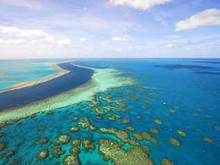 The Great Barrier Reef. Picture: Tourism and Events Queensland.