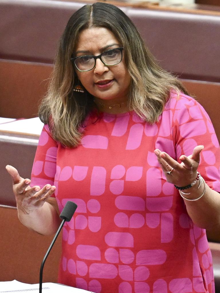 Senator Mehreen Faruqi in the Senate at Parliament House in Canberra. Picture: NewsWire / Martin Ollman