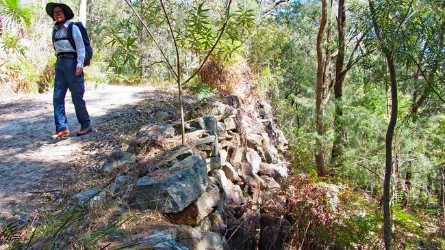 Convict built rock wall supports the road down to Peats Crater in Muogamarra Nature Reserve.