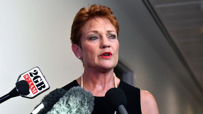 One Nation leader Pauline Hanson at Parliament House in Canberra.