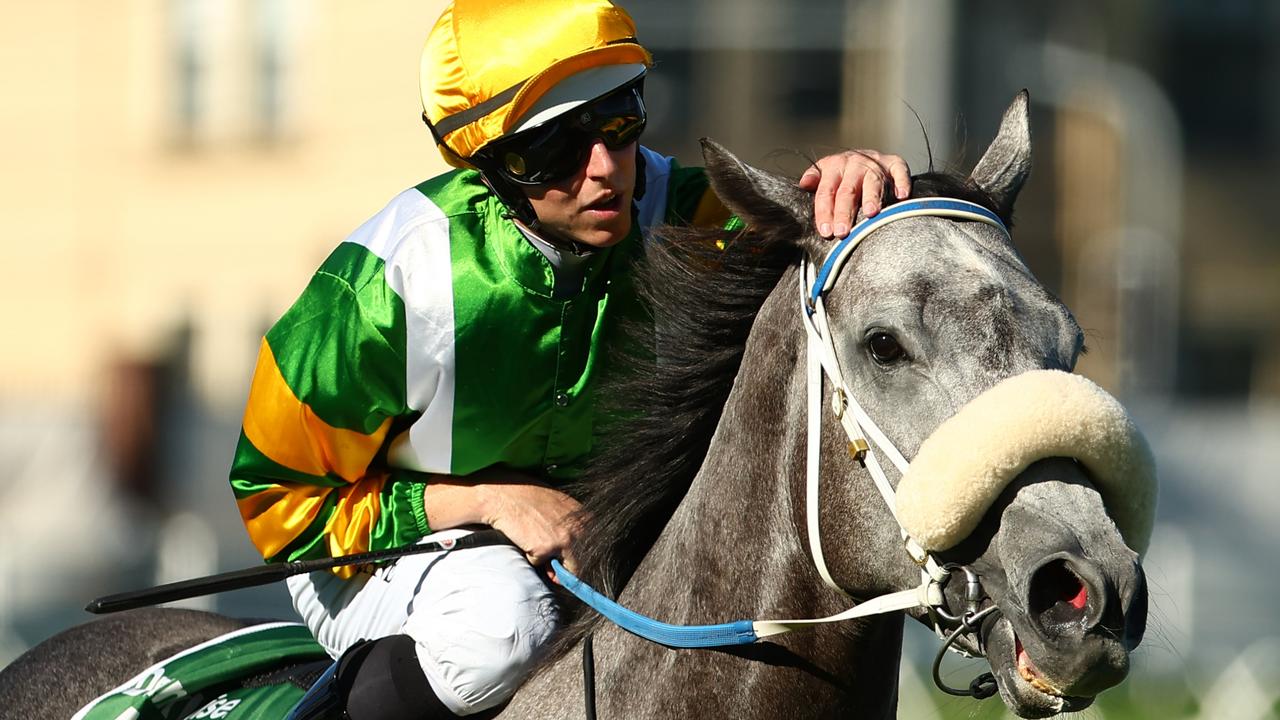 Damian Lane gives Chain Of Lightning a pat after the mare caused a boilover in the TJ Smith Stakes at Randwick on Saturday. Photo: Jeremy Ng/Getty Images.