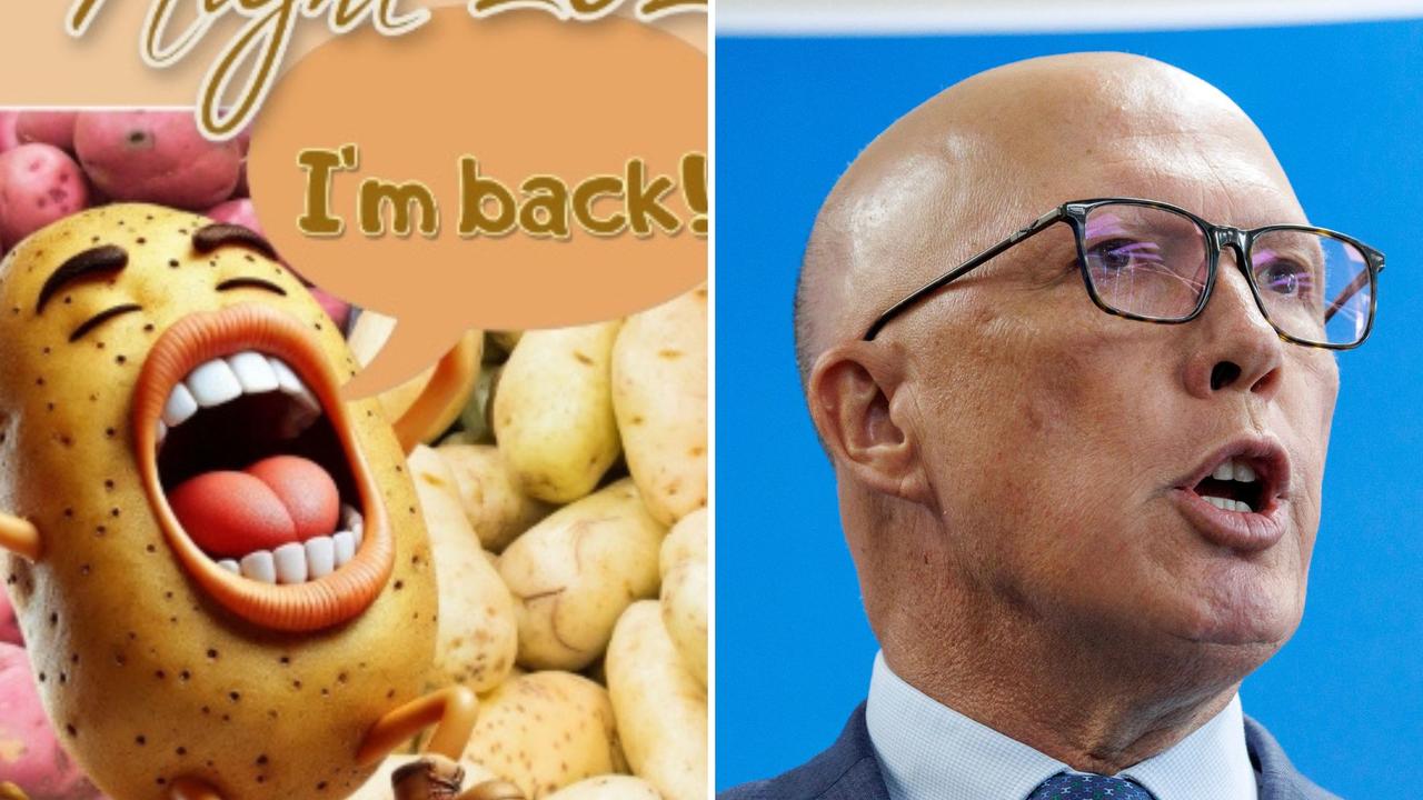 Labor’s candidate for Dickson Ali France sent out email invites to supporters for a “Potato Night” fundraiser with potato-themed activities targeting Peter Dutton’s appearance.