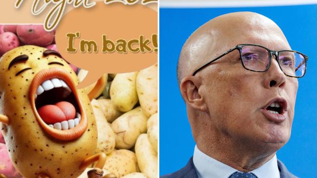 Labor’s candidate for Dickson Ali France sent out email invites to supporters for a “Potato Night” fundraiser with potato-themed activities targeting Peter Dutton’s appearance.