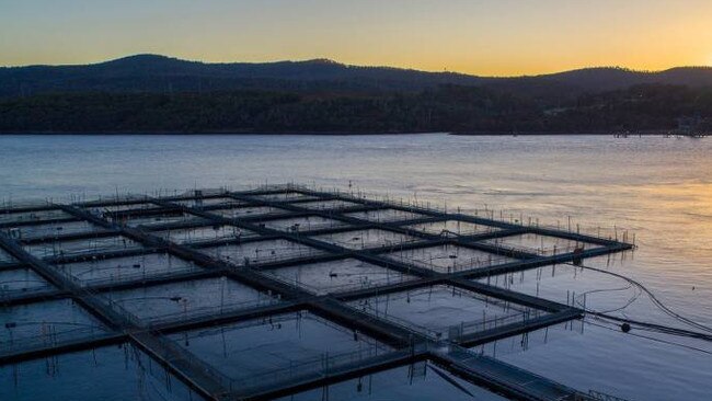 Petuna's Rowella fish farm.