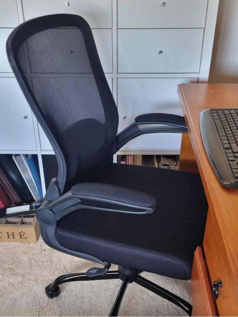 The Mimoglad Ergonomic Desk Chair has adjustable lumbar support. Picture: Rosalyn Fannin