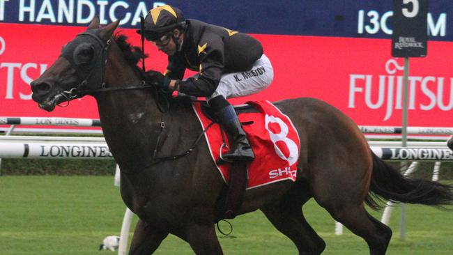 Le Gai Soleil has a great first-up record and is a great chance in the Group 3 Dark Jewel Classic. Picture: Grant Guy