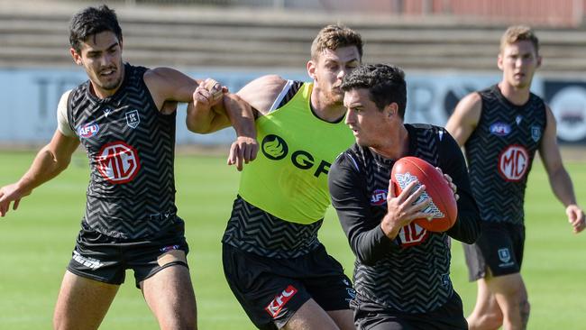 Tom Rockliff has been hospitalised. Picture: Brenton Edwards