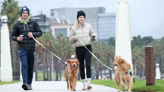 Alex Jennings and Sarah Rundle enjoying the wet and chilly weather in Geelong on Sunday with their dogs Frankie and Jerry. Picture: Mark Wilson