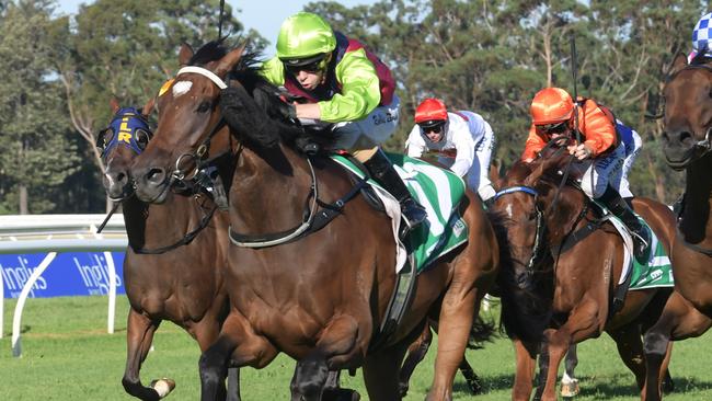 Cisco Bay will appreciate the sting out of the track. Picture: AAP Image