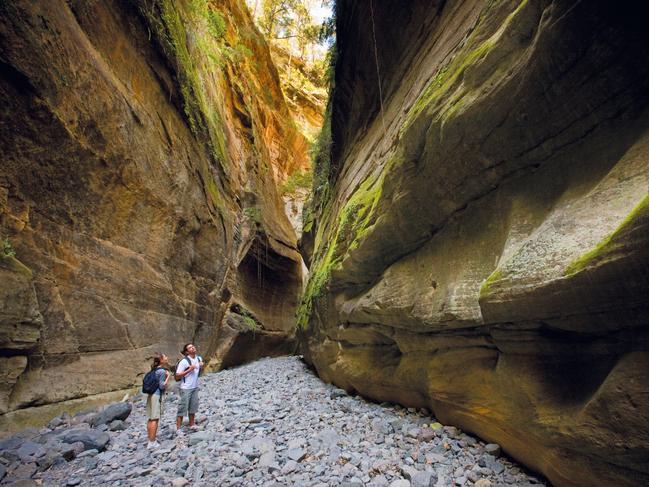 Exploring Carnarvon Gorge in Queensland. Picture: TEQ