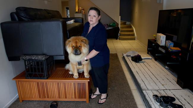 Sydney continues to be drenched in heavy rains causing flooding in local areas and the Warragamba Dam to overflow, sending millions of litres of water down the Nepean River to low lying areas like Emu Plains. Janet Lloyd watches the floods waters rise at her Bellevue Rd home in Regentville and has started lifting things off the floor, including her show dog Chevy.  Picture: Toby Zerna