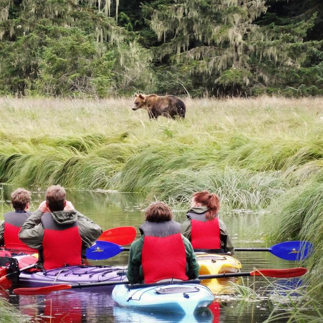 Knight Inlet Lodge, British Columbia, Canada.