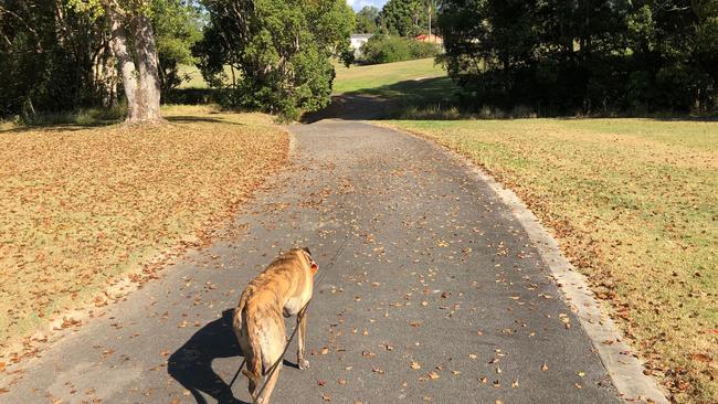 The area is really peaceful. Picture: Amanda Robbemond