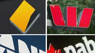 Exposed: 16 Aus banks double rate cut