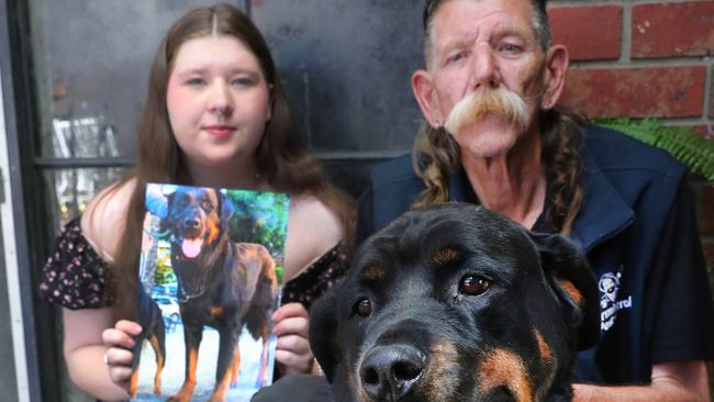 Greg Macpherson with pet rottweiler Rayne and his daughter Taylor, who holds an image of their other dog Thunder who died of a snake bite on Christmas Eve. Picture: Mark Wilson