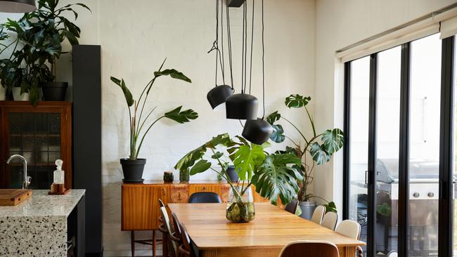 Never underestimate the transformative power of indoor plants.