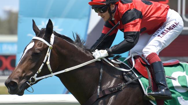 Winner of race 2 She's A Tigress ridden by Taylor Marshall at the Gold Coast Turf Club. (Photo/Steve Holland)