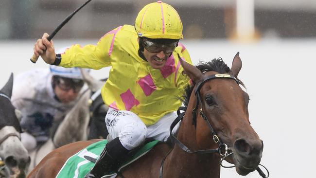 Grant Buckley (pictured) rides the Damien Lane-trained Alegna. Picture: Getty Images