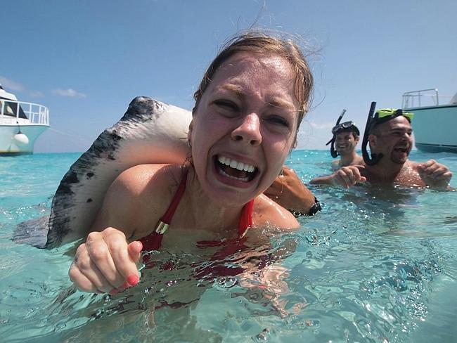 A stingray terrifies this swimmer. Picture: Supplied