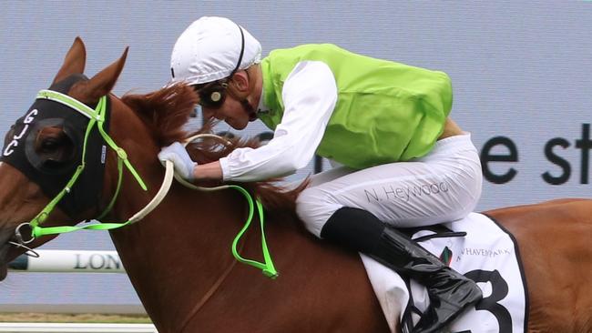 Nick Heywood has a good book of rides at Goulburn on Friday. Picture: Grant Guy