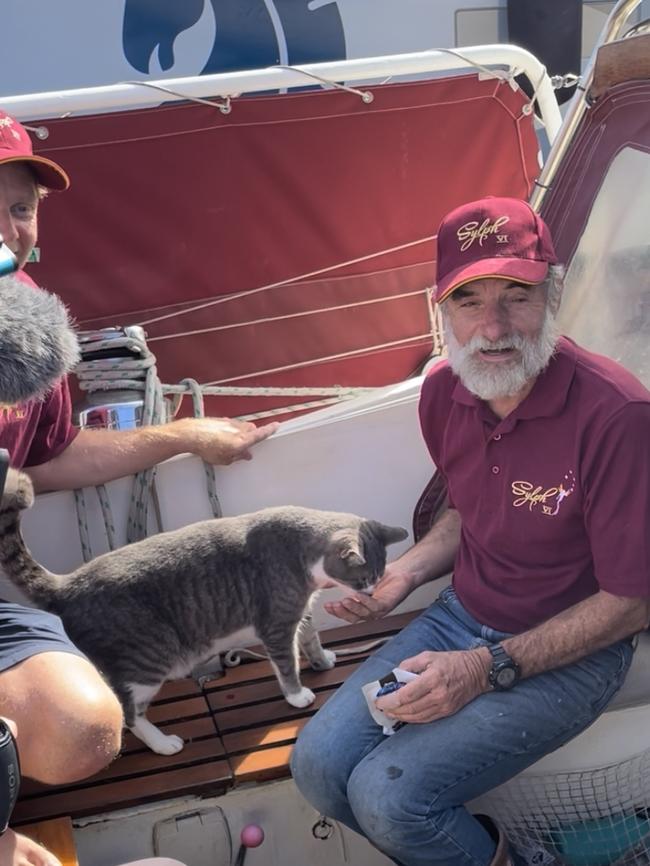Ten-year-old cat Oli reaches the finish line of the Sydney to Hobart with the crew of Sylph VI. Picture: Genevieve Holding