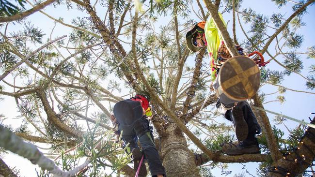 Northside Christmas Tree Construction. Picture: James Davidson