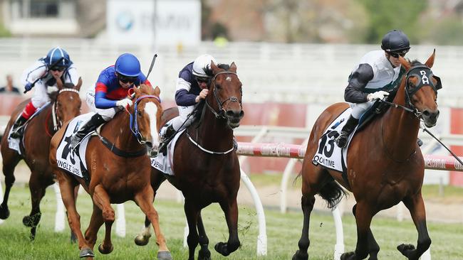 Boom Time winning the Caulfield Cup.