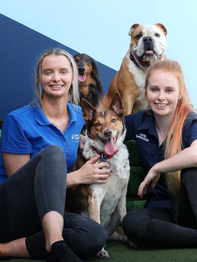 Wouldn’t a pup bring a smile to your face? Why of course it would. Here, Tayla Ward, 20, and Kirsten Downes, 23, with dogs Wolfgang, Allie and Winston at Hanrob Pet Hotels, Eagle Farm. Photographer: Liam Kidston.