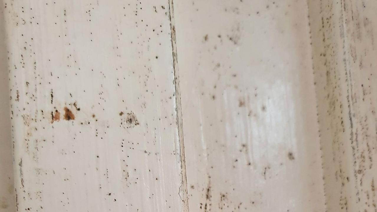 HEALTH RISK: Areas of the Wilsonton house have been destroyed by a growing mould infestation with the family desperate to get out but stuck by the region's rental crisis.