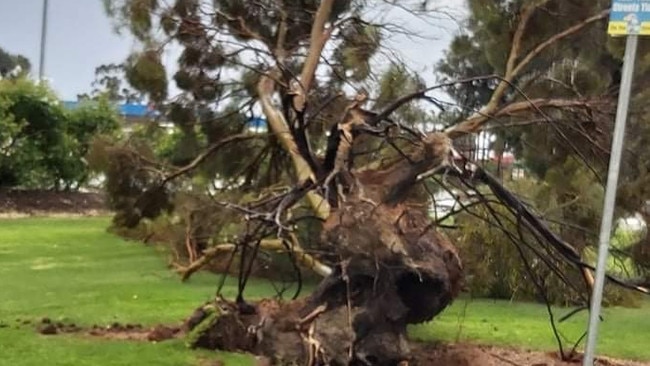 The storm hit the Sturt Highway near Renmark with ferocity. Picture: Supplied