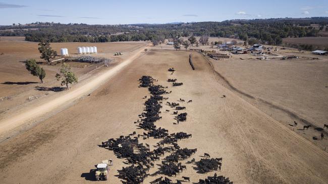 Aussies should prepare for “heatwaves and bushfires” this summer as the Bureau of Meteorology declares a high likelihood of an El Nino event. (Photo by Brook Mitchell/Getty Images)