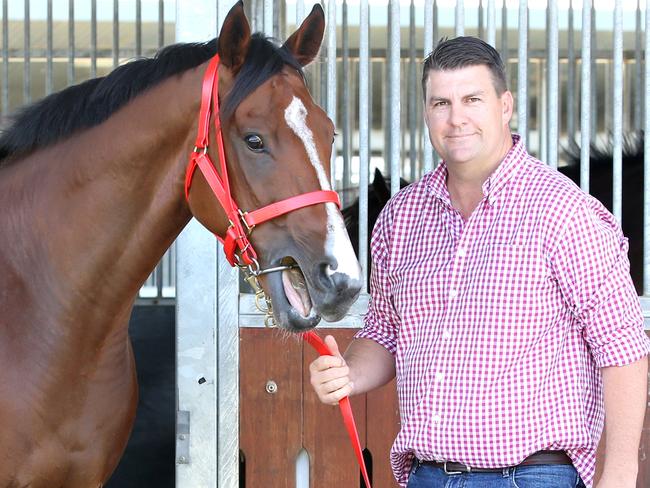 Trainer, Chris Anderson with Profit, horse racing, Eagle Farm, Cup 4th December to the 24th December, Brisbane City